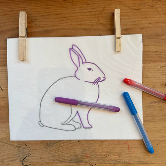 Forest Animal Tracing