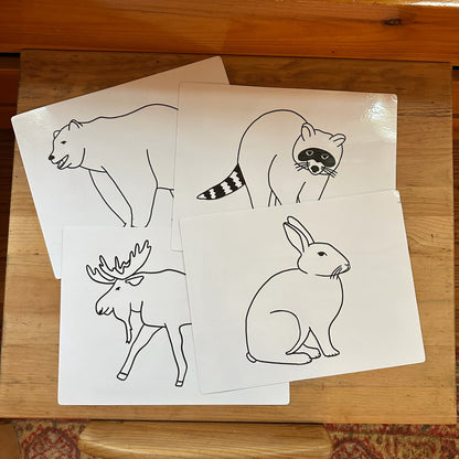 Forest Animal Tracing
