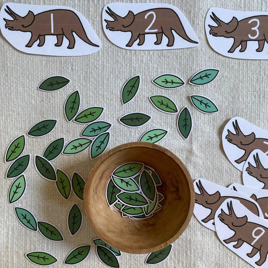 Dinosaur Cards and Counters
