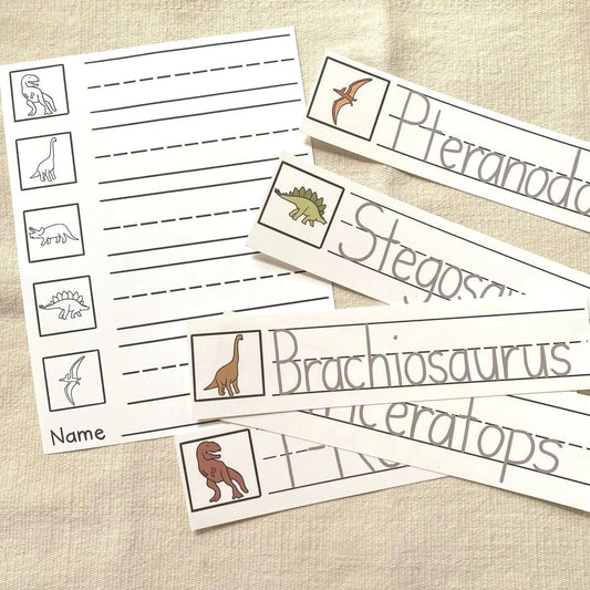Montessori Dinosaur Extensions Bundle