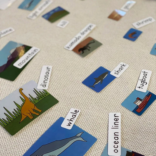 Small, Medium, Large Sorting Cards and Labels