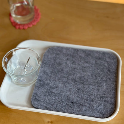 Small Pin Poking Tray Setup