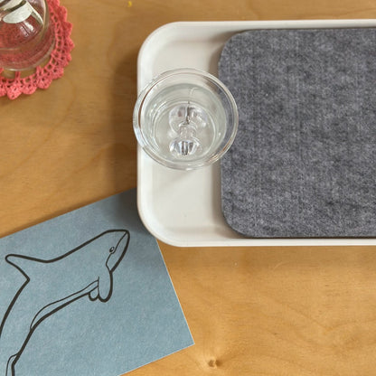 Small Pin Poking Tray Setup