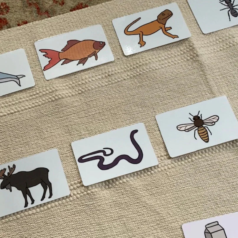 Montessori Language Bundle 3