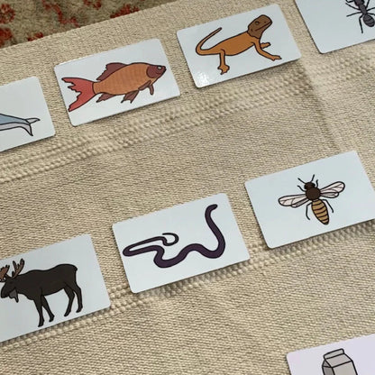 Montessori Language Bundle 3