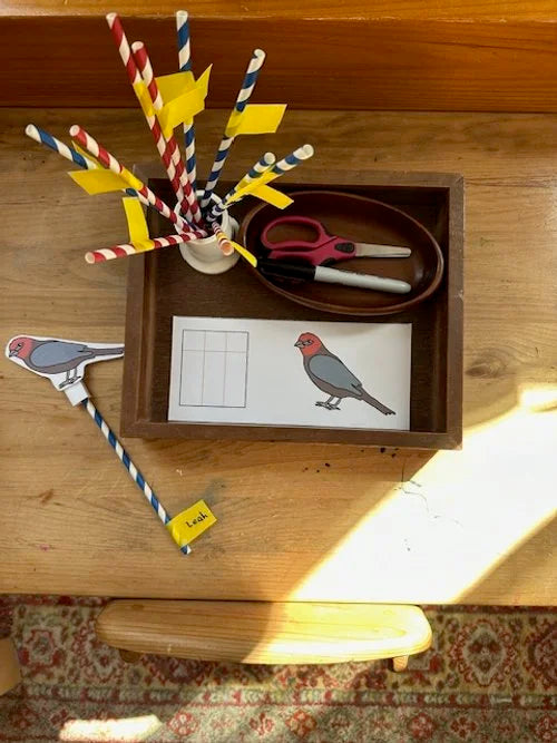 Montessori Bird Bundle