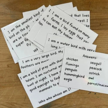 Montessori Birds Extensions Bundle