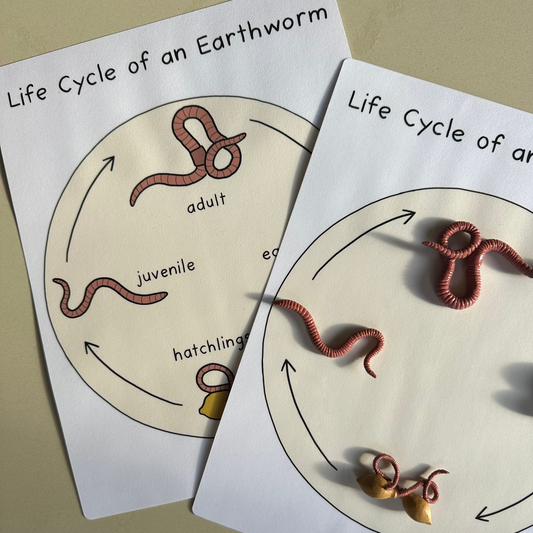 Learn About Earthworms