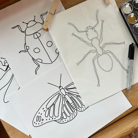 Insect Tracing