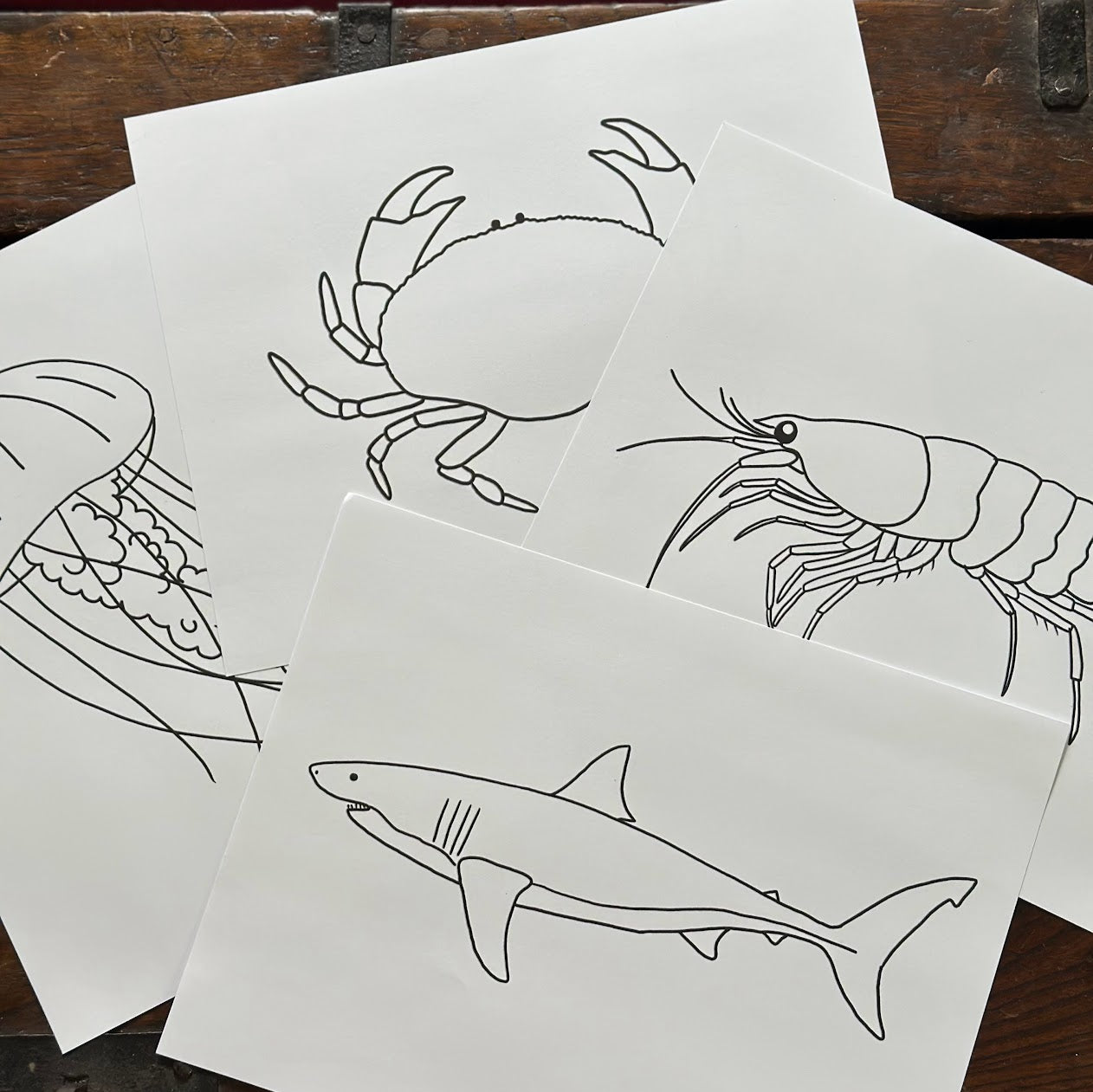 Ocean Tracing