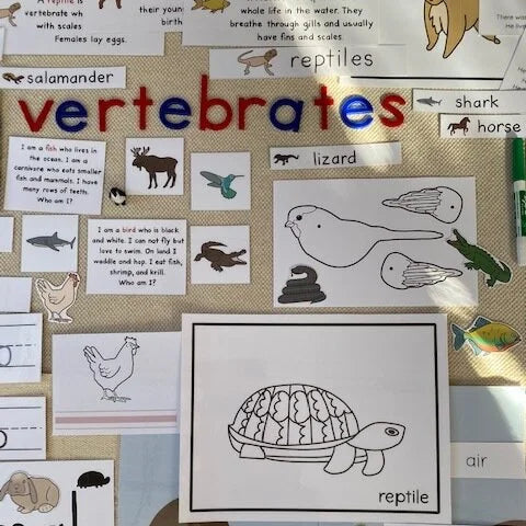 Montessori Vertebrates Bundle