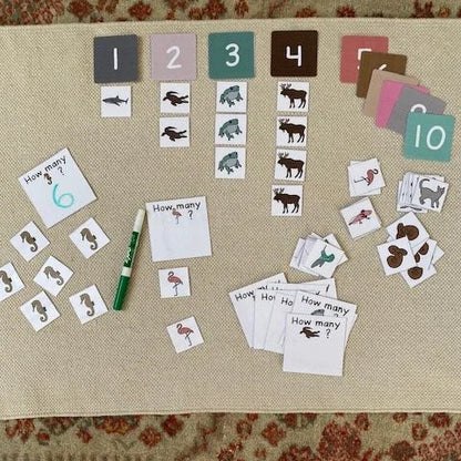 Montessori Vertebrates Bundle