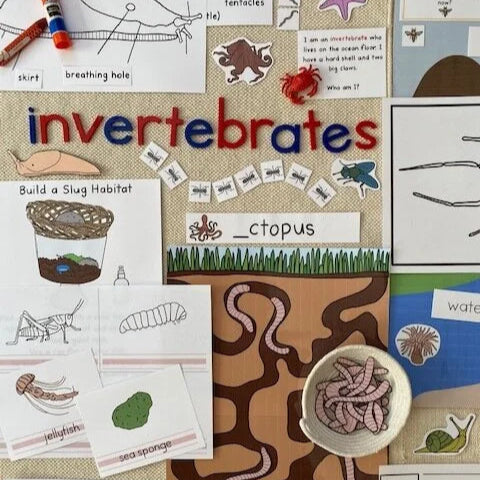 Montessori Invertebrate Bundle