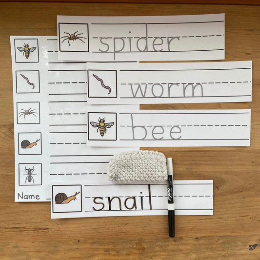 Invertebrate Scavenger Hunt