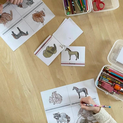 Montessori Vertebrates Bundle