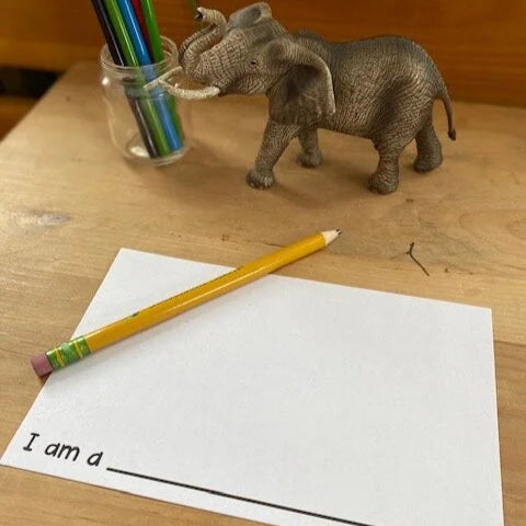 I am a ______.