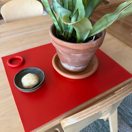 Small Vinyl Mat