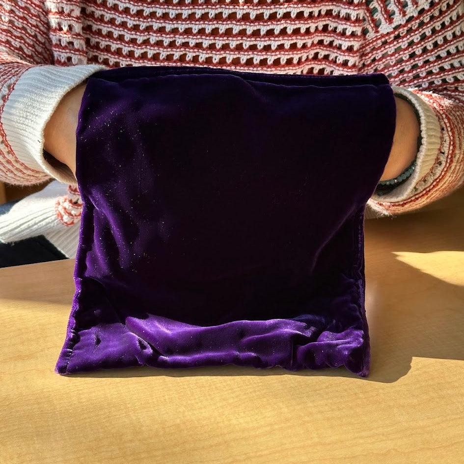Velvet Mystery Bag