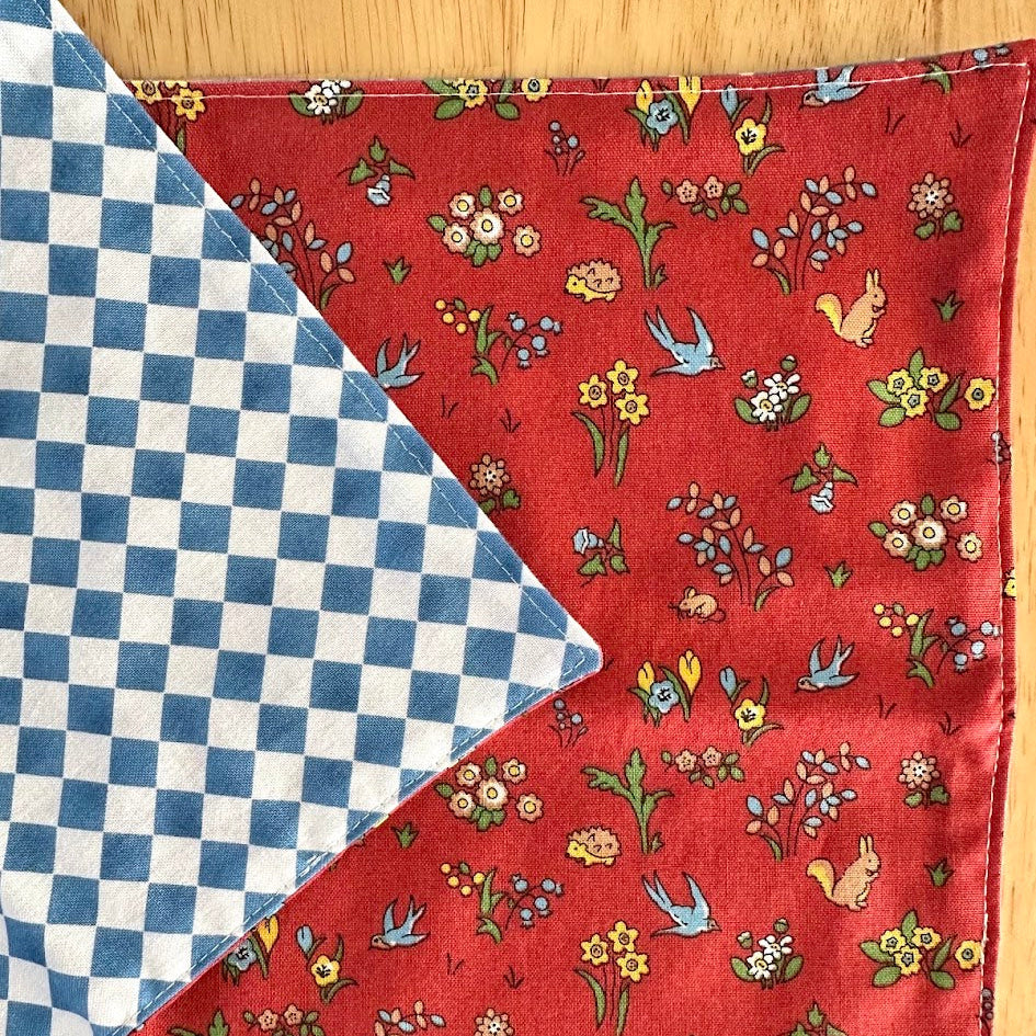 Set of Two Children's Placemats