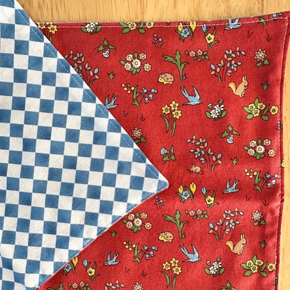 Set of Two Children's Placemats