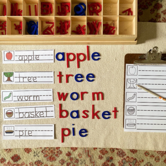 Montessori Apple Extensions Bundle