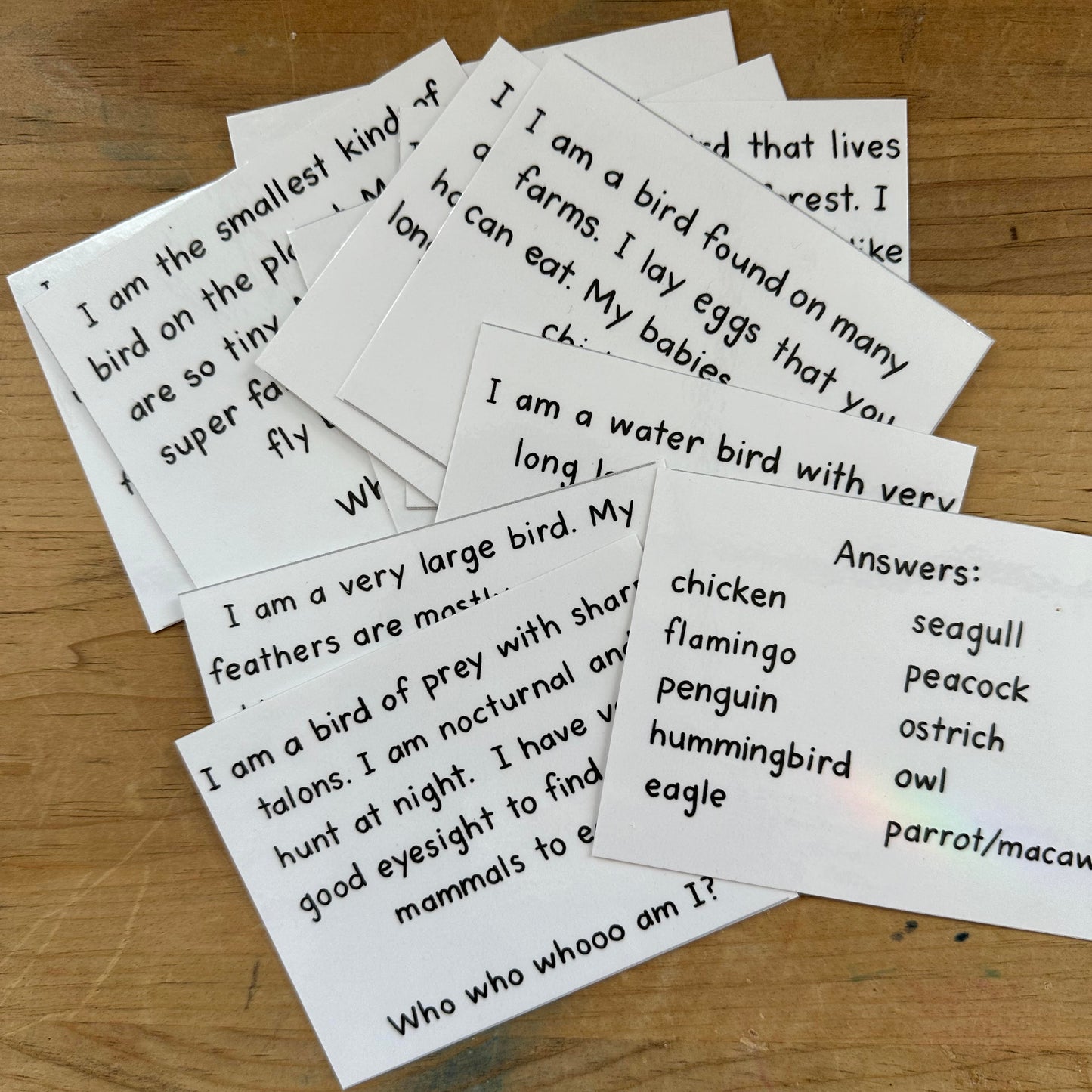 Bird Riddles