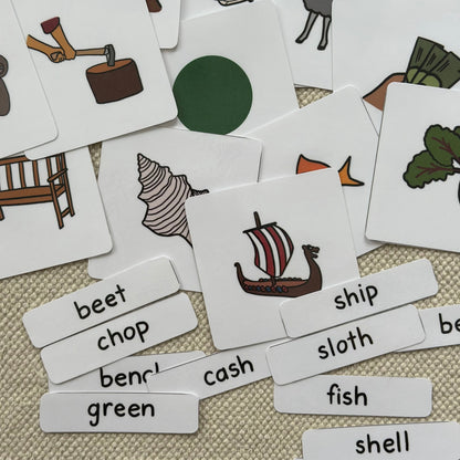 Phonogram Picture Word Matching