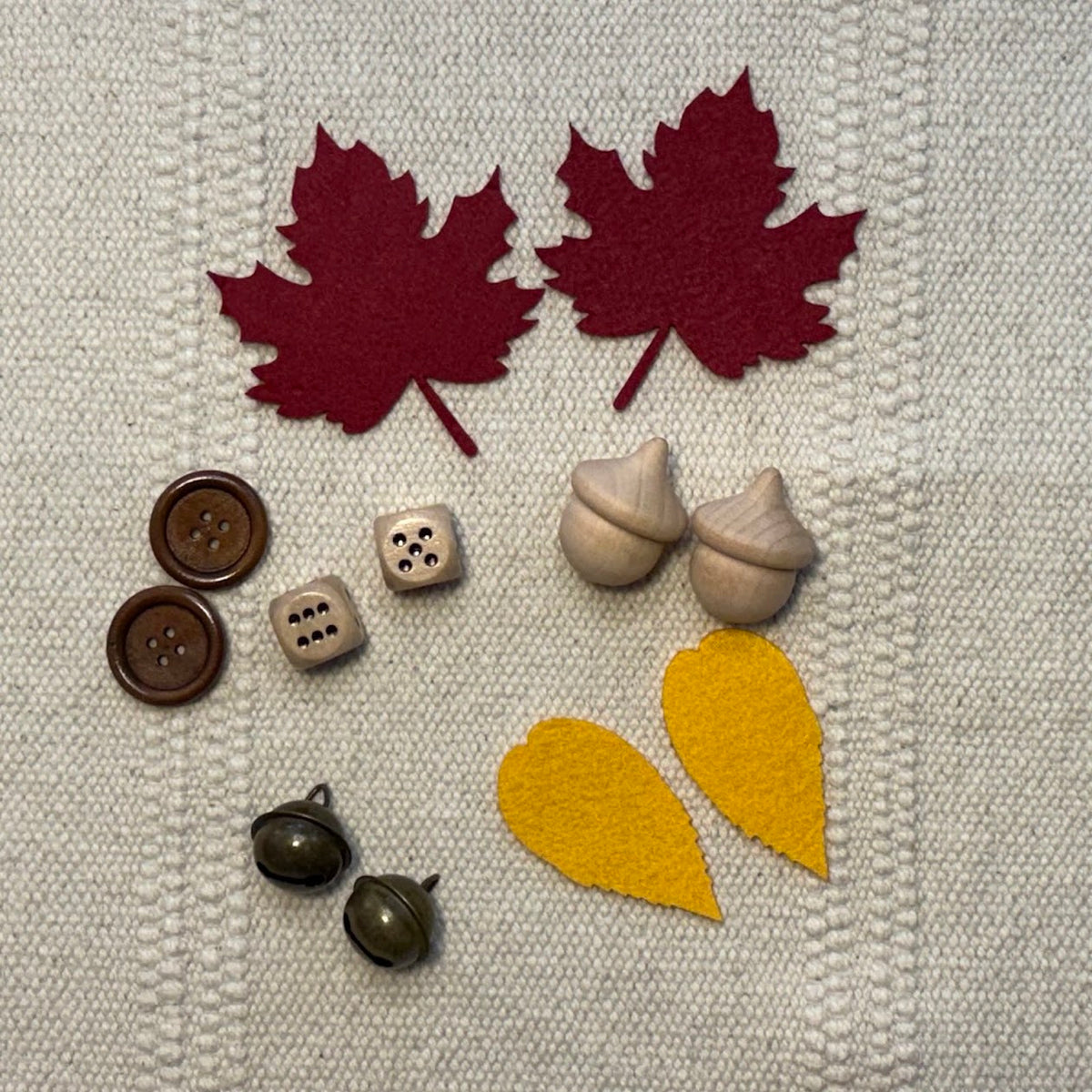 Paired Objects for Mystery Bag