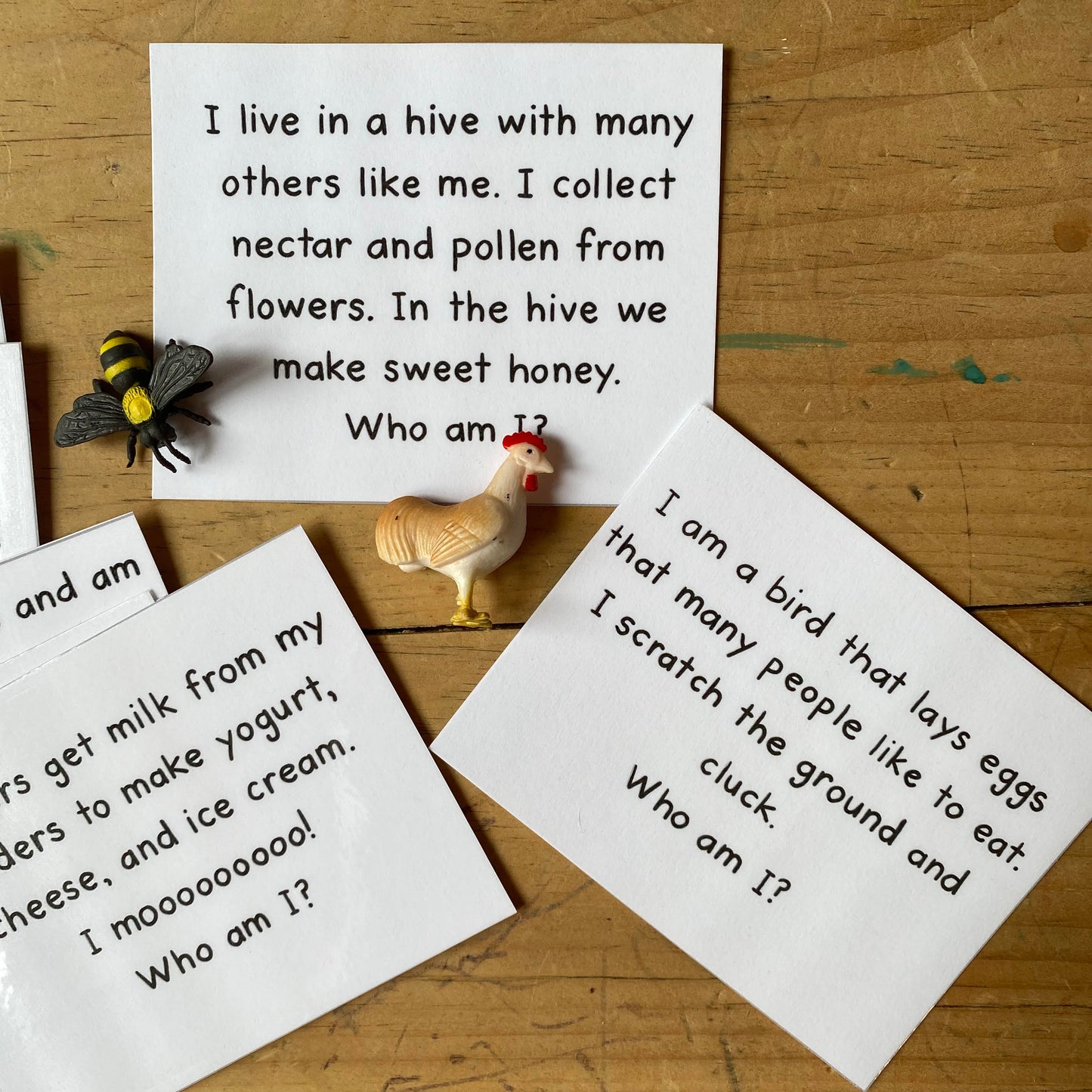 Farm Animal Riddles