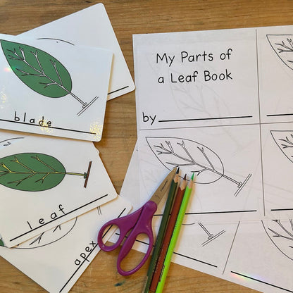 Parts of a Leaf Poster and Booklet Set